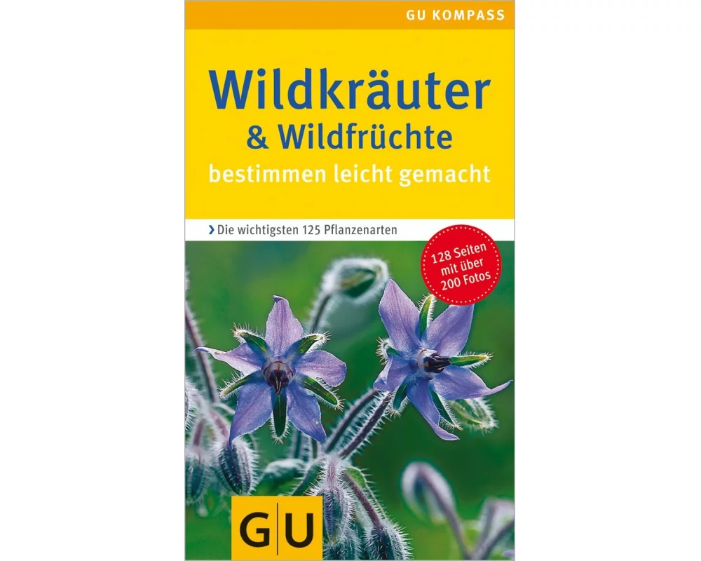 Wildkräuter & Wildfrüchte bestimmen leicht gemacht