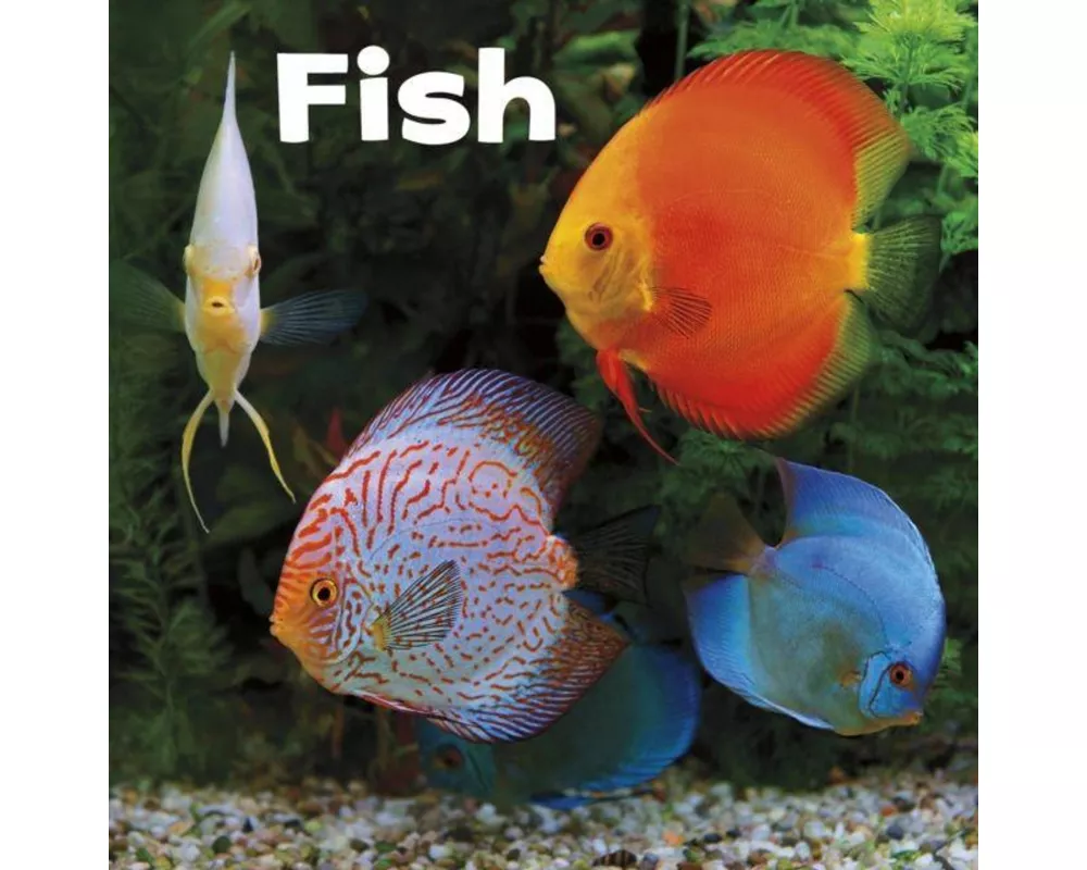 Fish