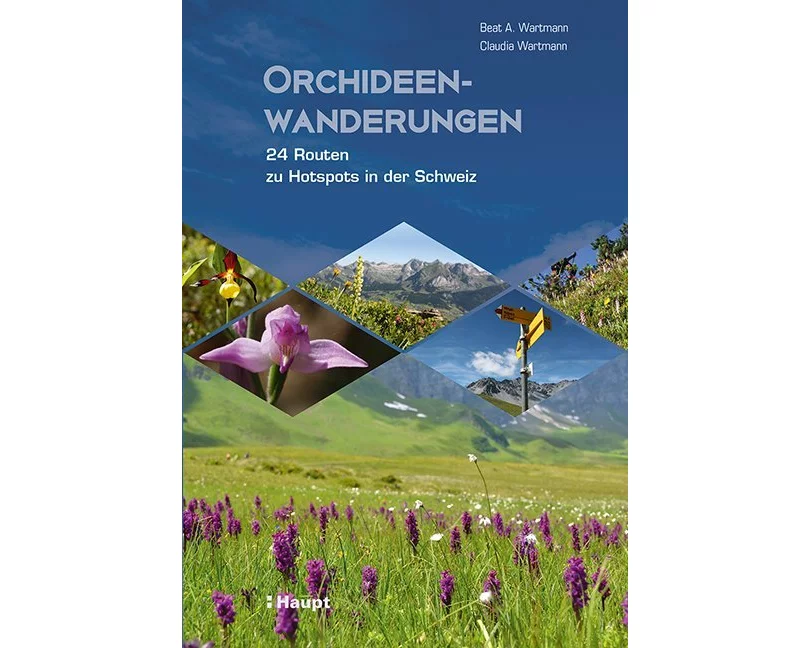 Orchideenwanderungen