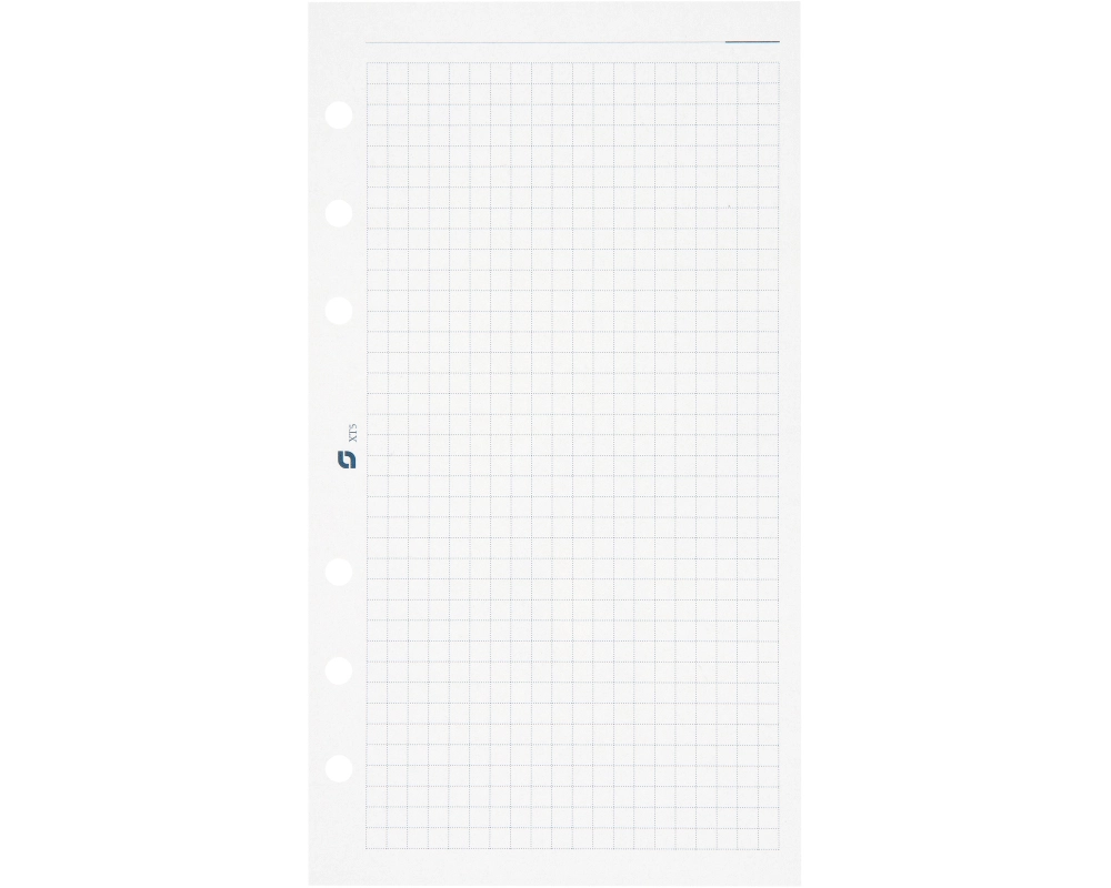 SUCCES Agenda Standard Notizpapier 84300500U kariert weiss 9.5x17.1cm