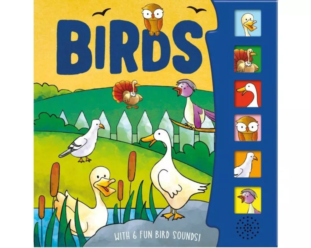 Birds