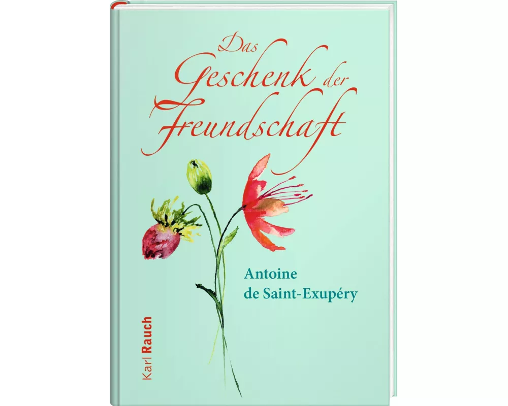 Das Geschenk der Freundschaft