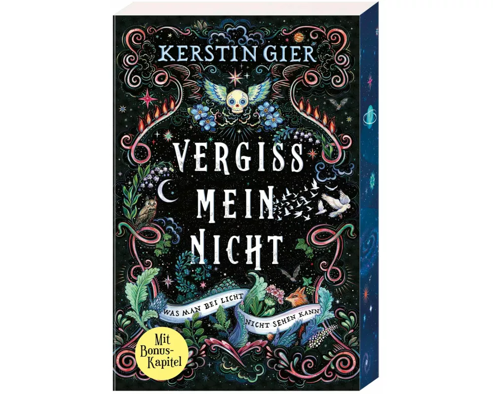 Vergissmeinnicht - Was man bei Licht nicht sehen kann
