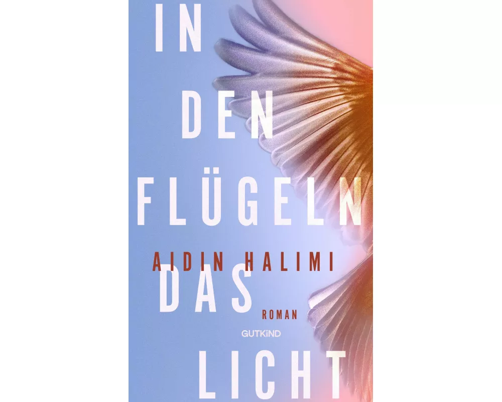 In den Flügeln das Licht