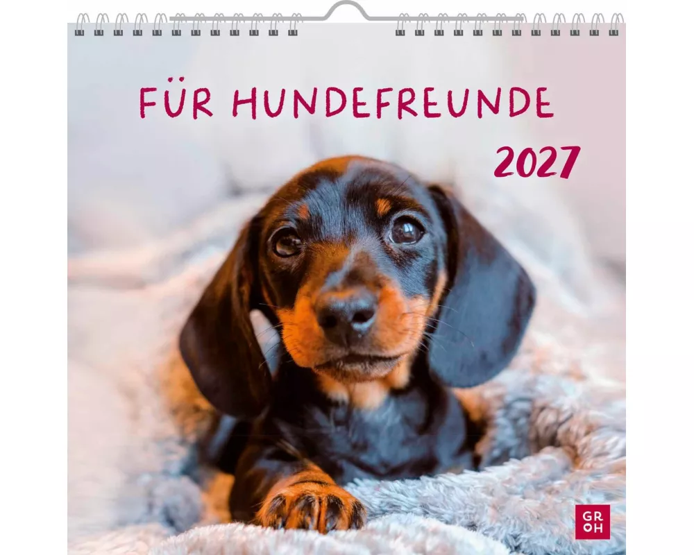 Wandkalender 2027: Für Hundefreunde