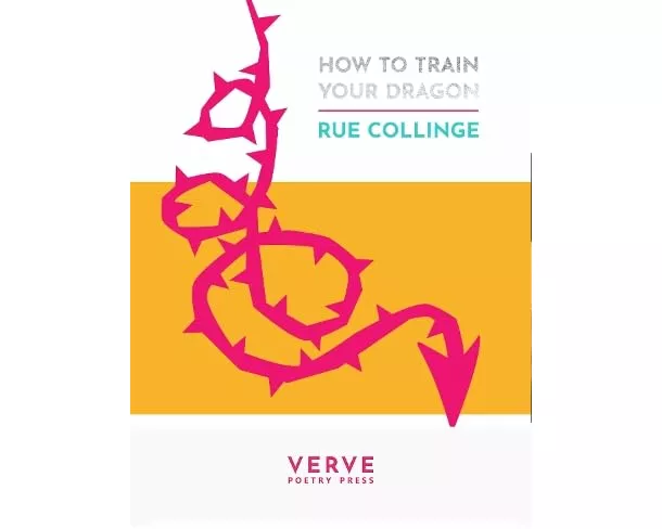 How to Train Your Dragon