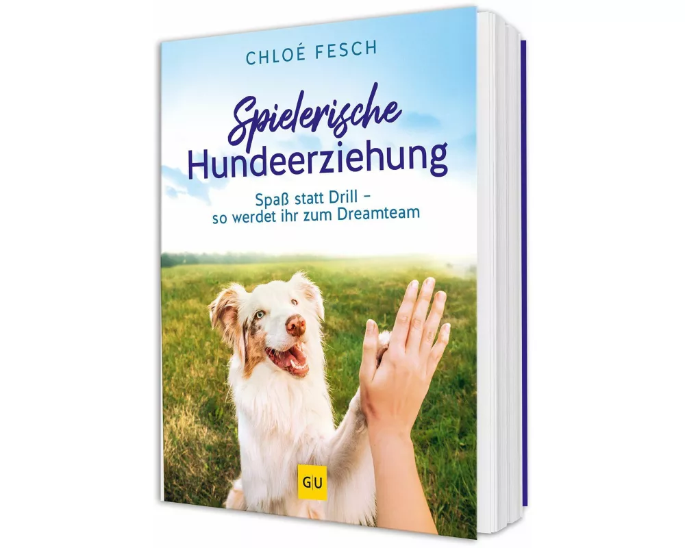 Spielerische Hundeerziehung
