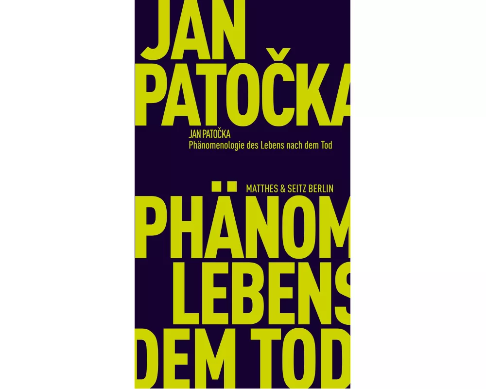 Phänomenologie des Lebens nach dem Tod