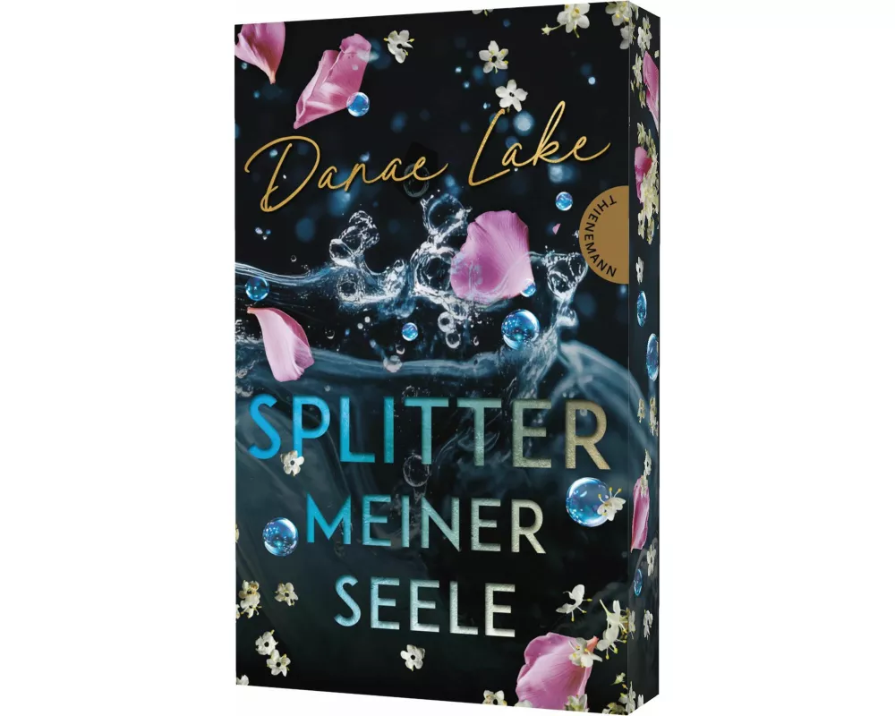 Splitter meiner Seele