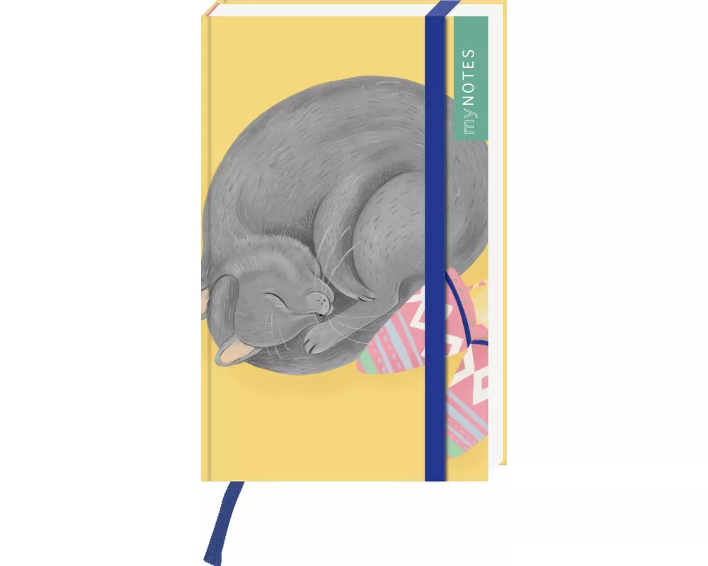 myNOTES Papeterie: Notizbuch A6 Katzen regieren die Welt