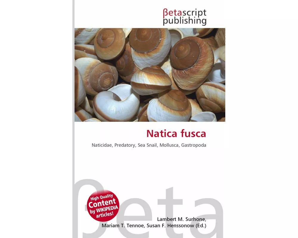 Natica fusca