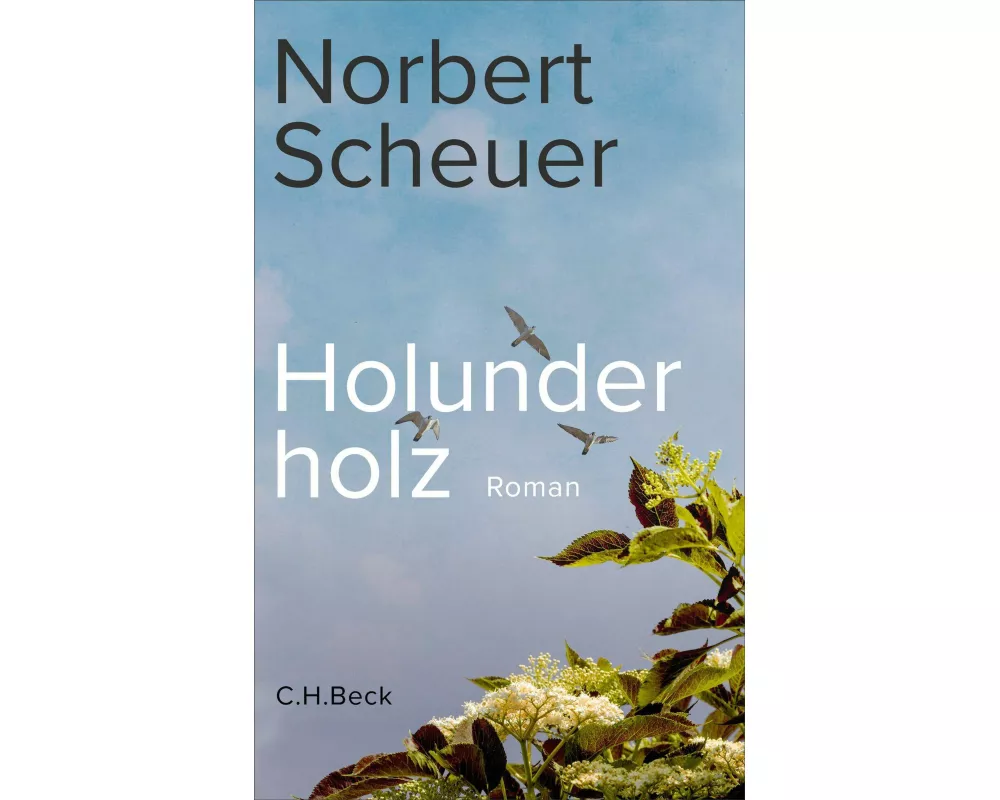 Holunderholz