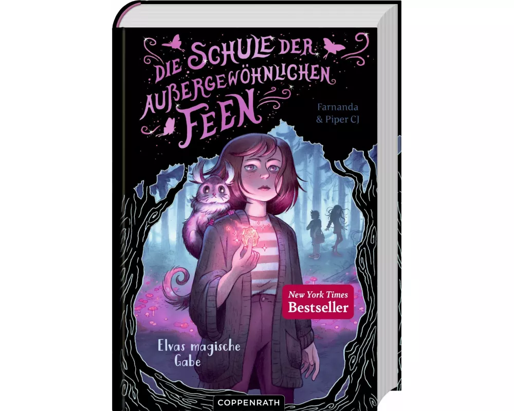 Die Schule der außergewöhnlichen Feen (Bd. 1)