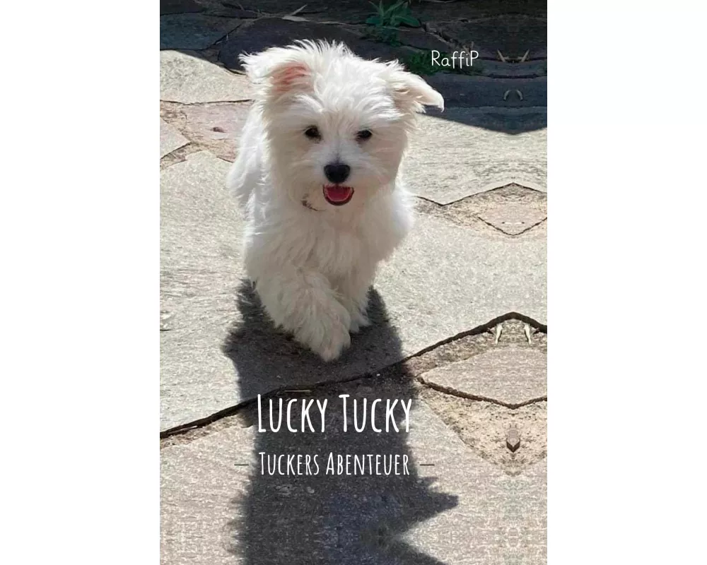 Lucky Tucky
