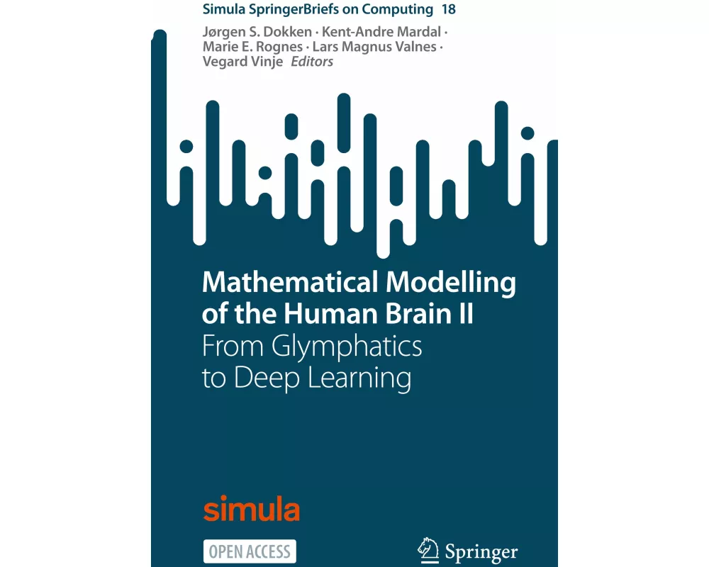 Mathematical Modelling of the Human Brain II