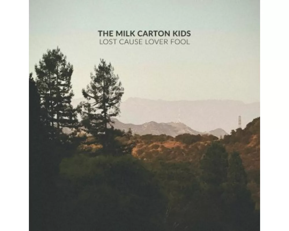 Lost Cause Lover Fool