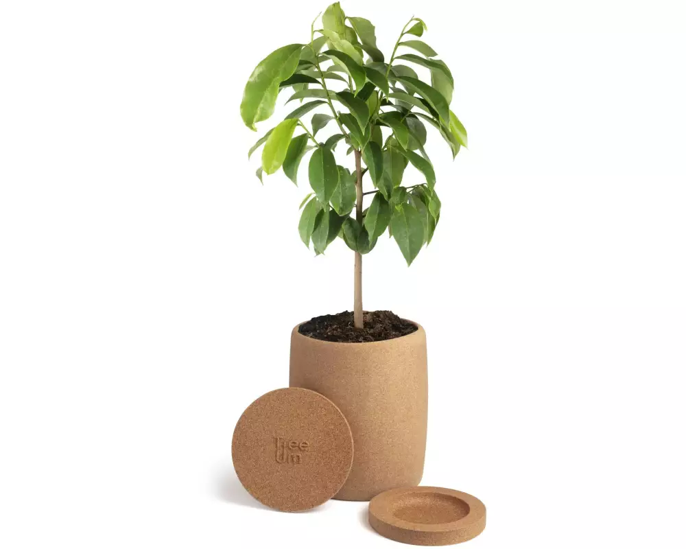 Tree Urn BIologisch abbaubare Korkurne für Haustiere Hellbraun
