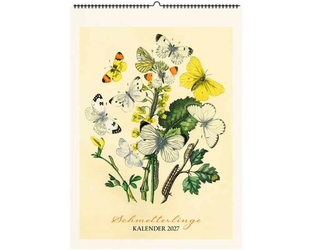Schmetterlinge. Wandkalender 2027