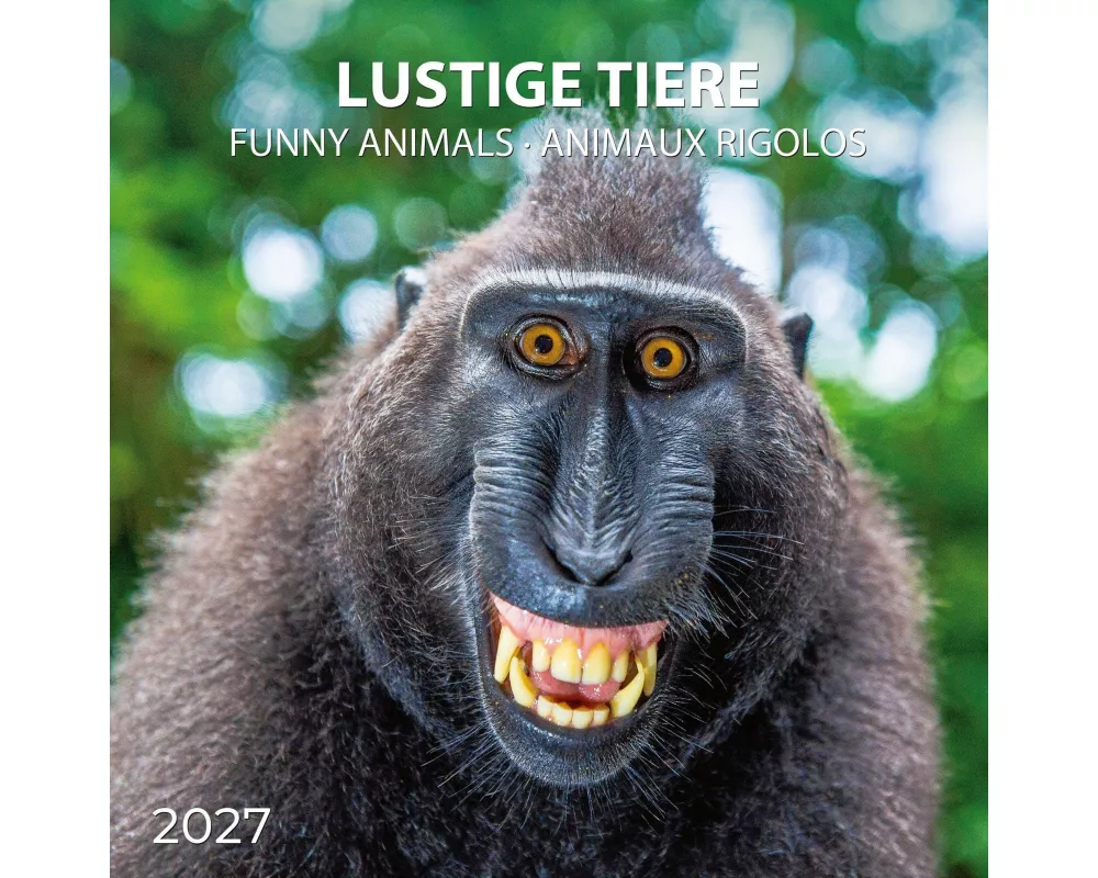 Lustige Tiere / Funny Animals 2027