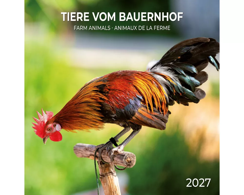 Tiere vom Bauernhof / Farm Animals 2027
