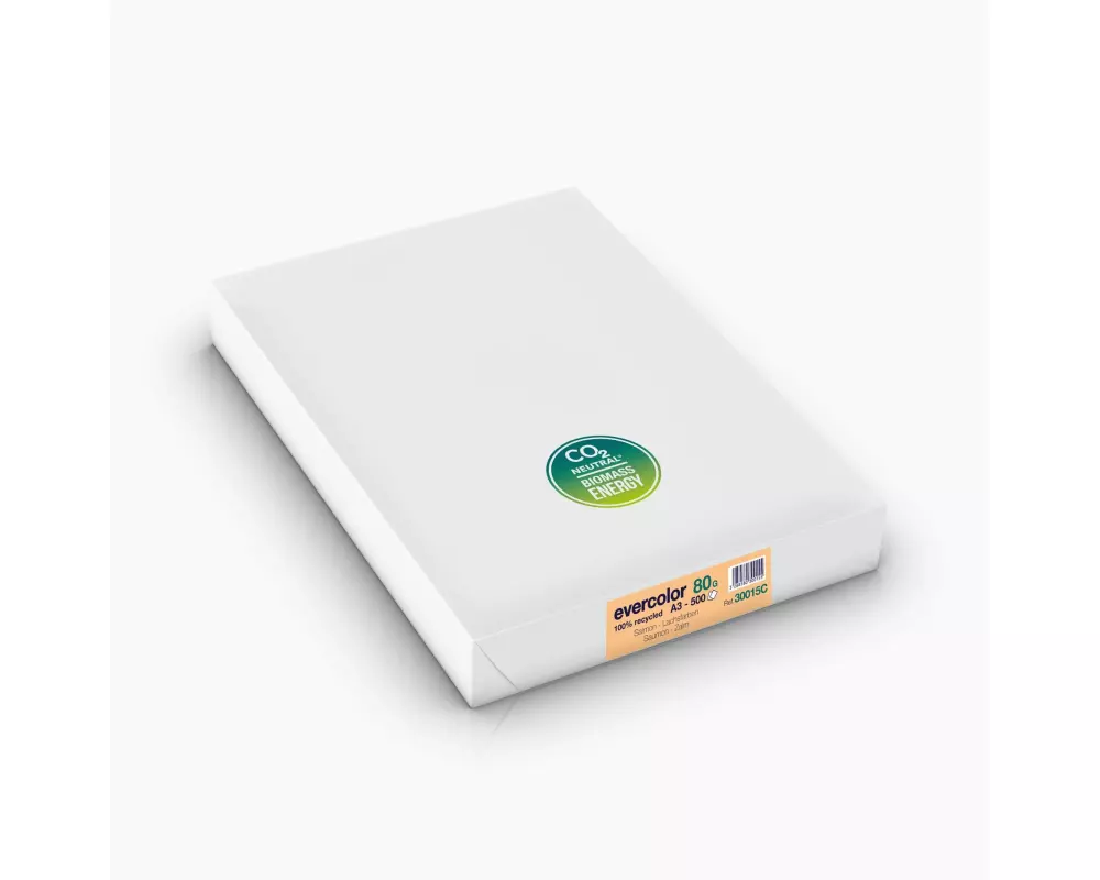 Clairefontaine Kopierpapier Evercolor A3, Lachs, 80 g/m²,500 Blatt