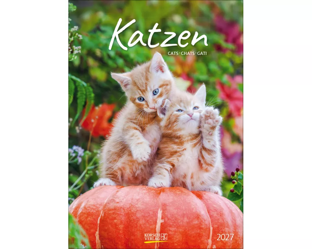 Katzen 2027