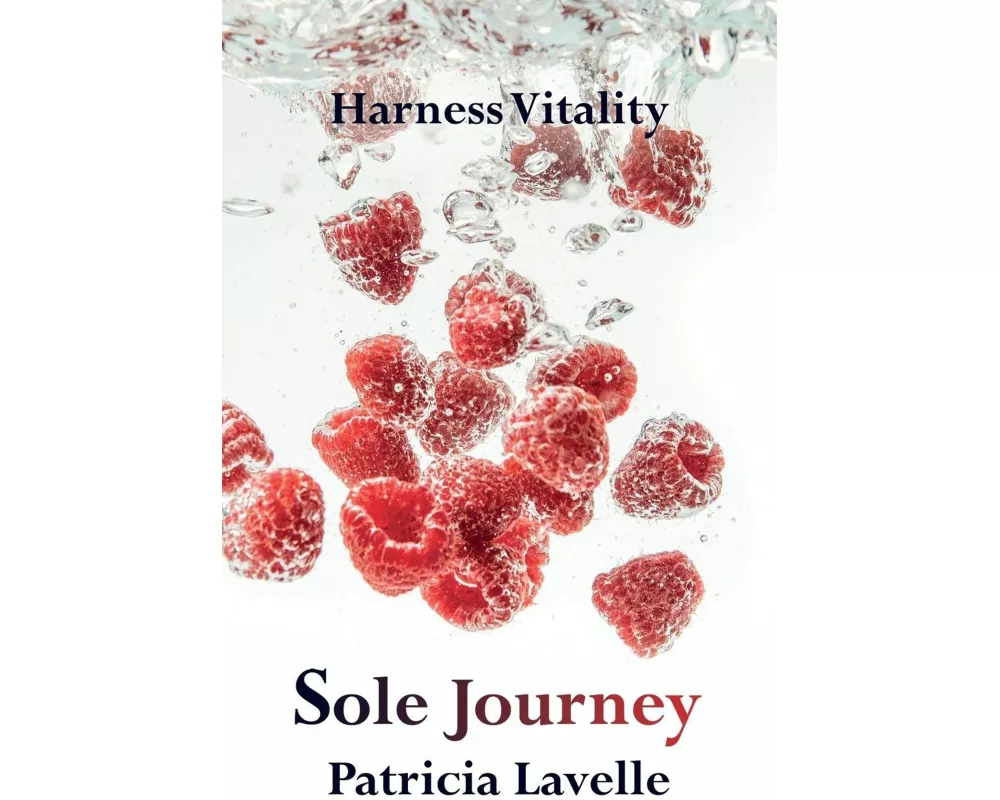 Sole Journey