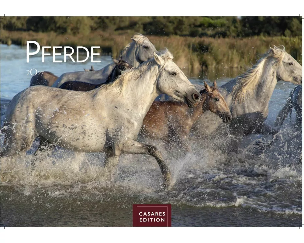 Pferde Kalender 2027 - Wandkalender | Fotokalender Tierkalender 35x50cm mit 12 wunderschönen Fotos dieser edlen Tiere