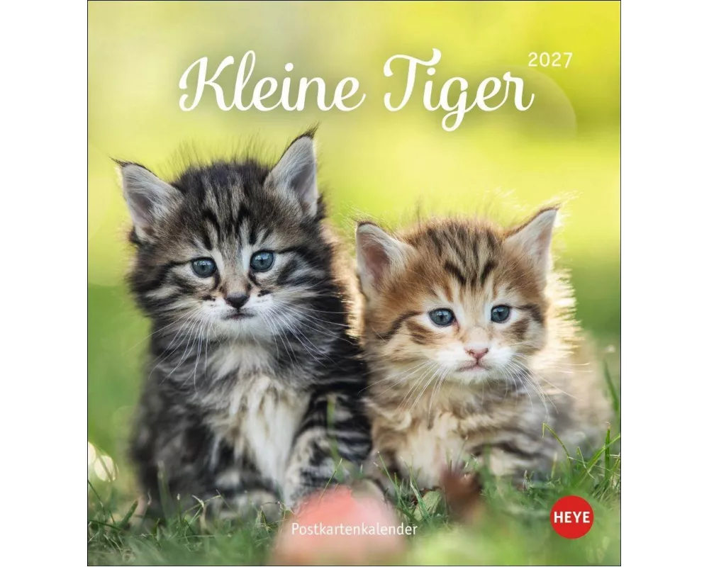 Katzen Postkartenkalender Kleine Tiger 2027