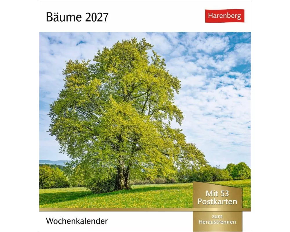 Bäume Postkartenkalender 2027 - Wochenkalender mit 53 Postkarten