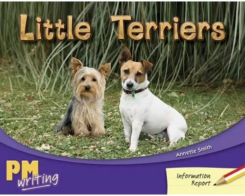 Little Terriers