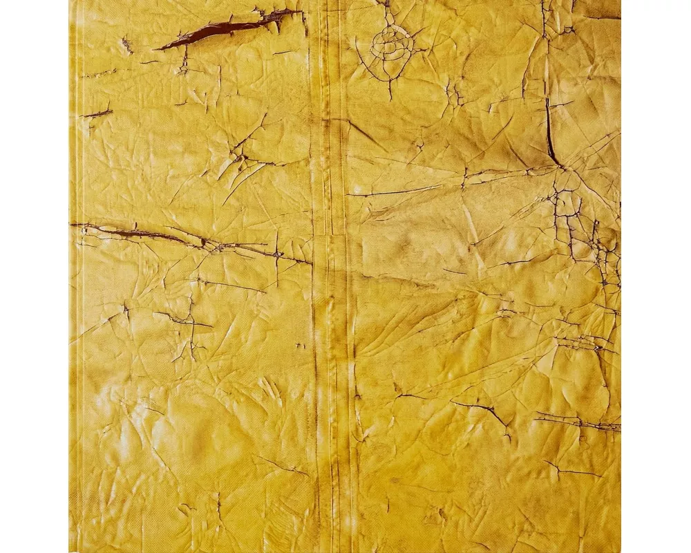 David Hammons