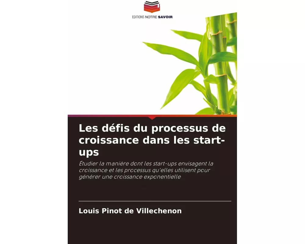 Les défis du processus de croissance dans les start-ups