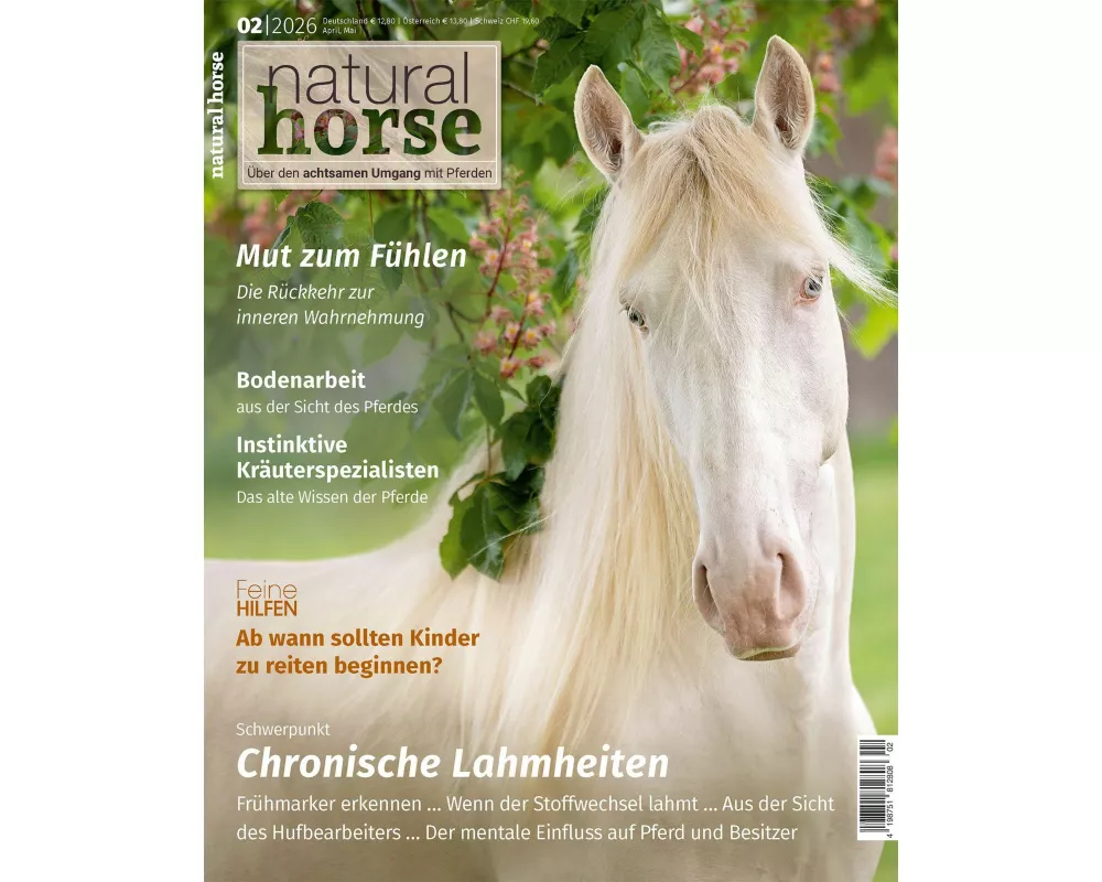Natural Horse 62