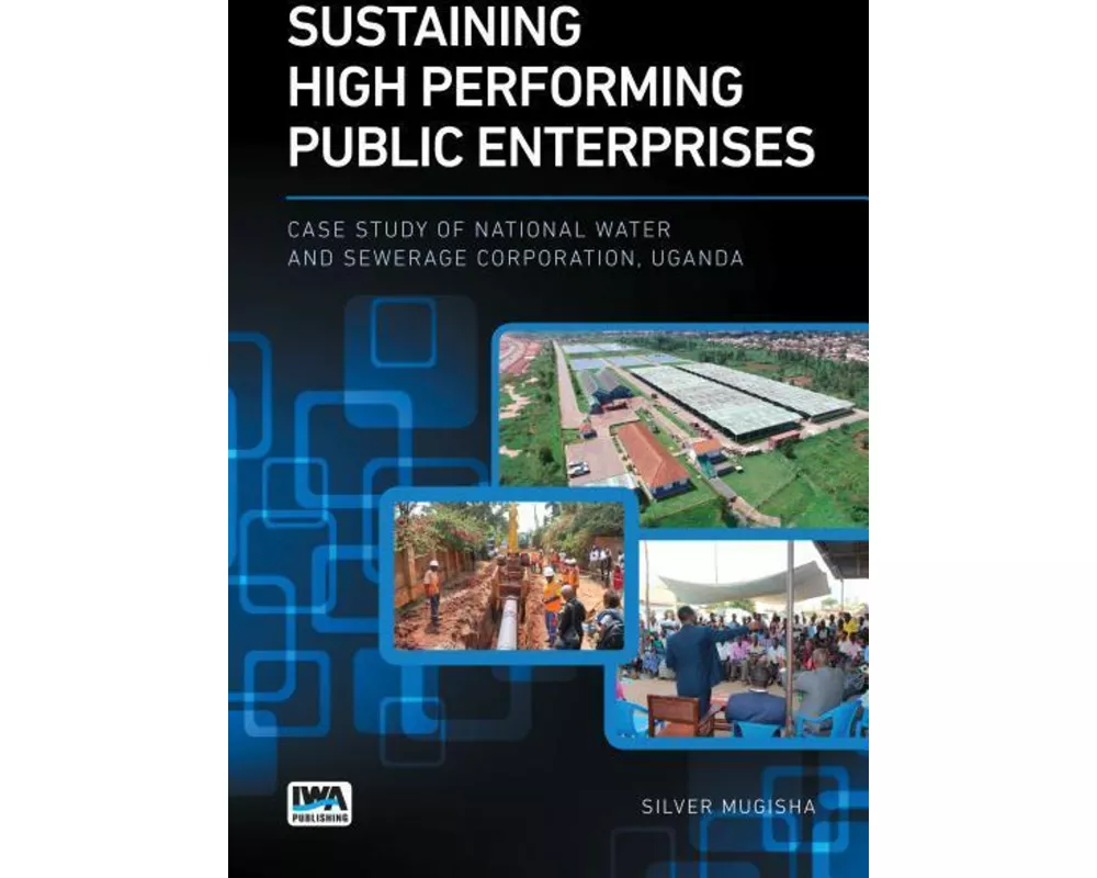 Sustaining High Performing Public Enterprises
