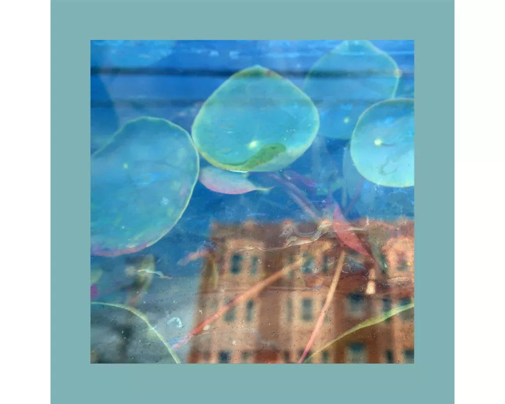 Acknowledge Kindness