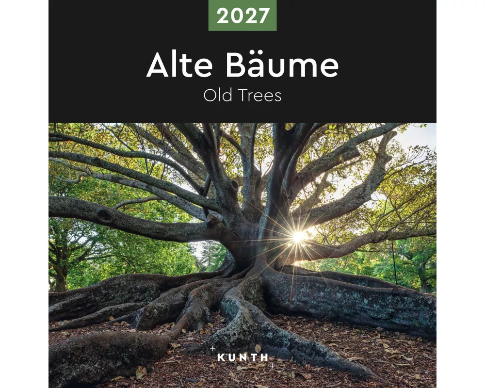 Alte Bäume - KUNTH Broschurkalender 2027