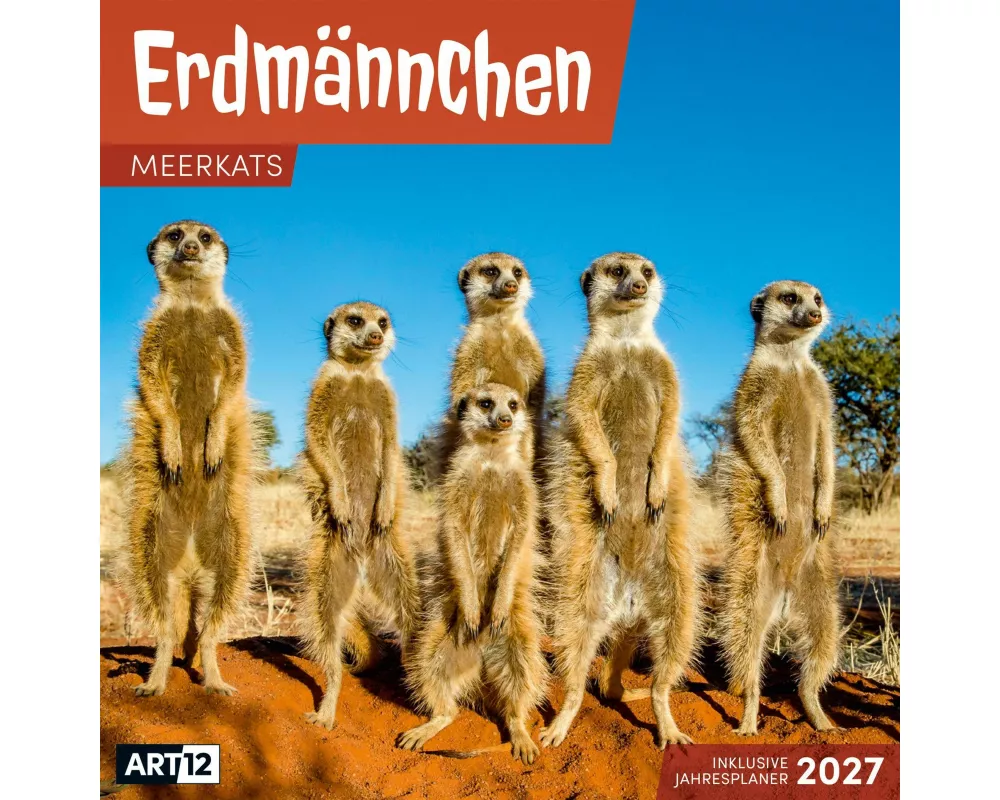 Erdmännchen Kalender 2027 - 30x30 - Art12