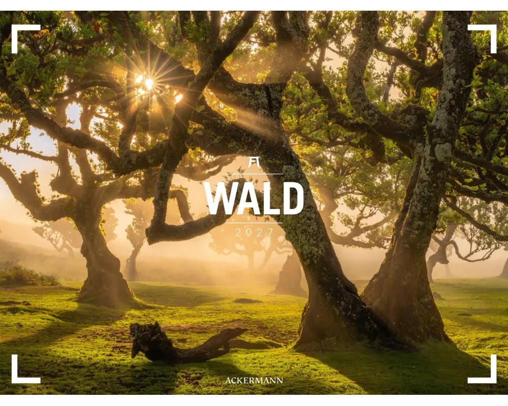 Wald Gallery Kalender 2027