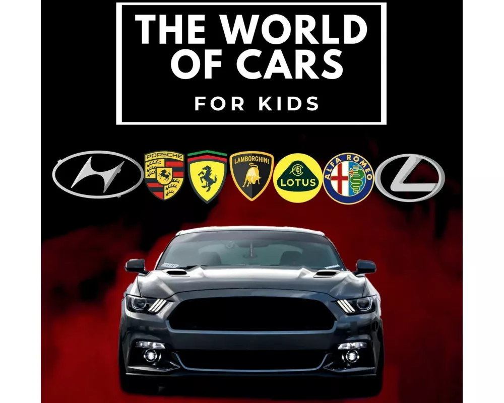 The world of cars for kids
