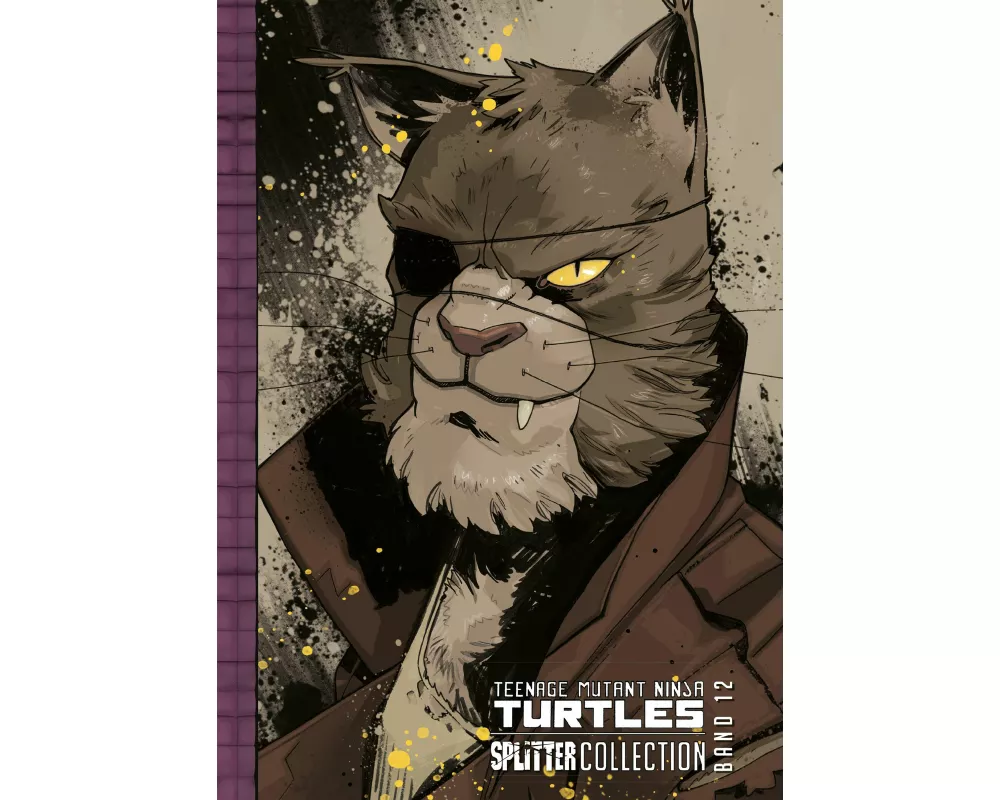 Teenage Mutant Ninja Turtles Splitter Collection 12