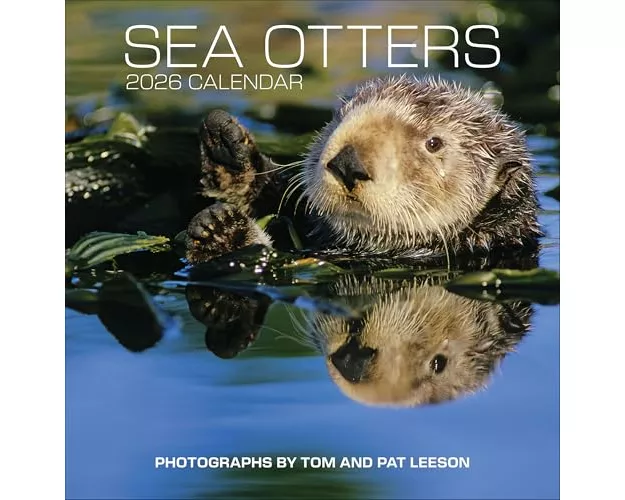 Sea Otters: Photographs by Tom and Pat Leeson 2026 Wall Calendar