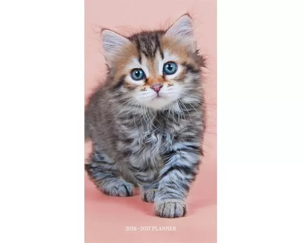 Kittens Sunday Start 2 Year Pocket Planner Diary 2026-7