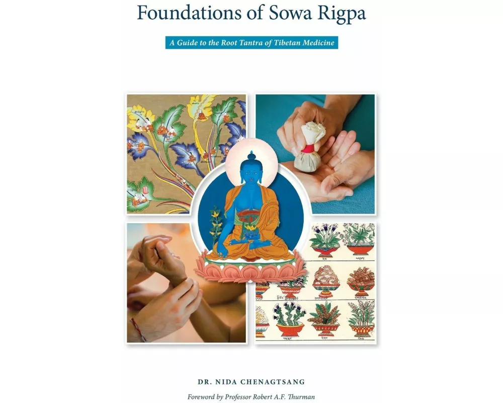 Foundations of Sowa Rigpa
