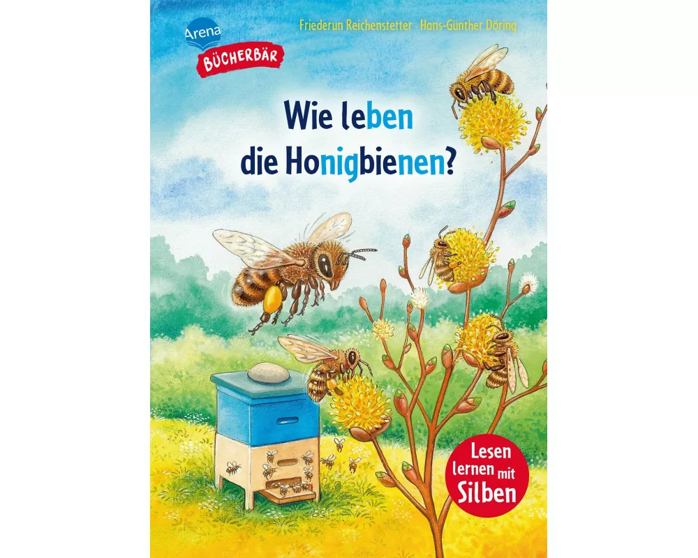 Wie leben die Honigbienen?