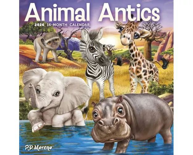 Animal Antics Square Mini Sunday Start C