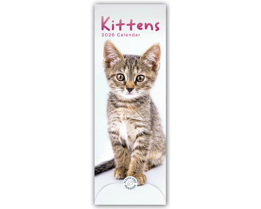 Kittens Slim Calendar 2026