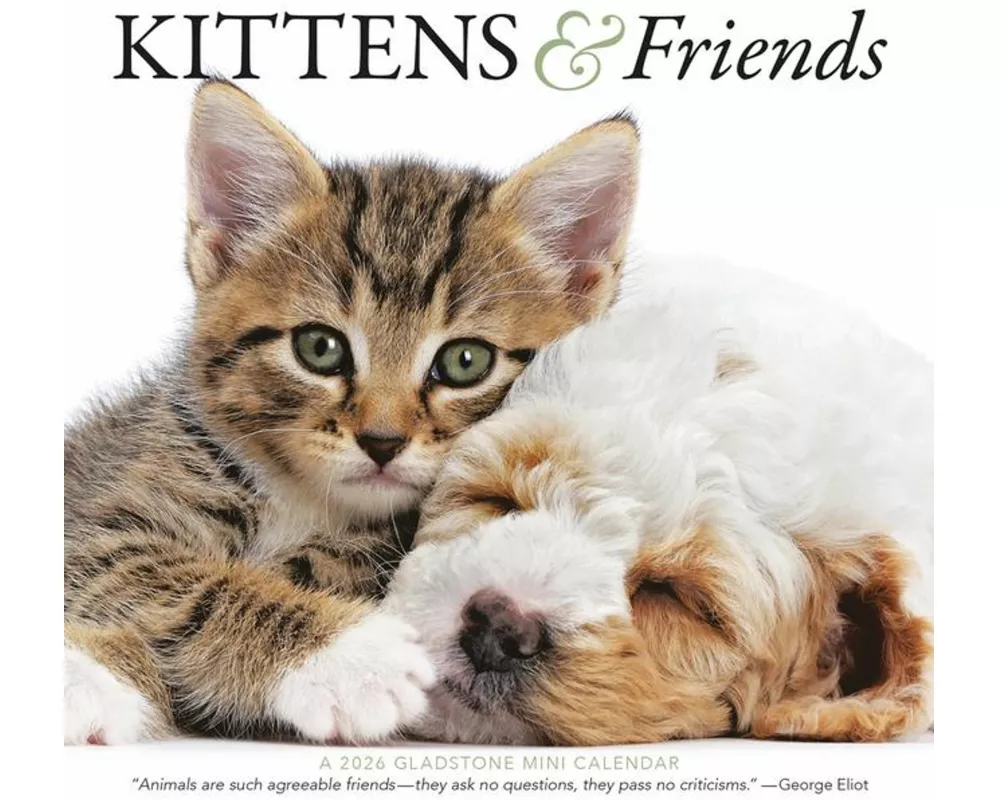 Kittens & Friends