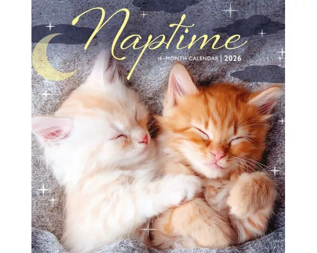 Naptime Square Mini Sunday Start Calenda