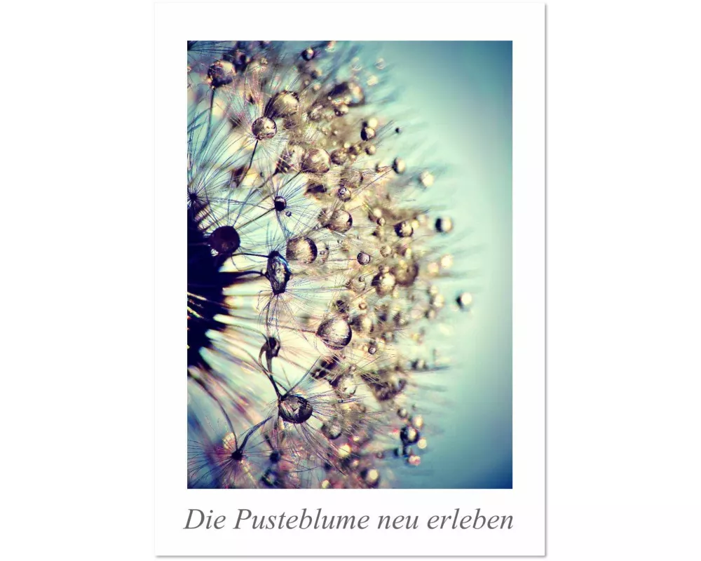 Die Pusteblume neu erleben (Wandkalender 2026 DIN A3 hoch), CALVENDO Monatskalender